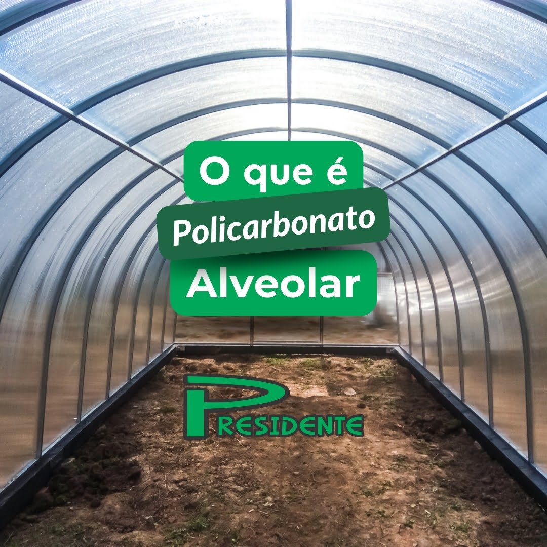 pol1